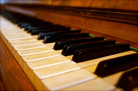 close up photo of piano keys thumbnail