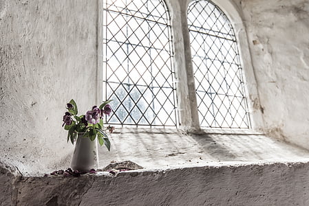 purple petaled flower in round white ceramic vase on white concrete surface thumbnail