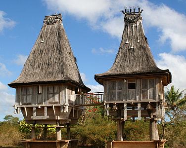 two brown wooden housed near trees thumbnail