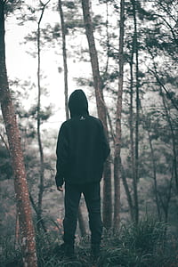 Man Wearing Black Hoodie With Black Pants Standing in the Middle of Forest thumbnail