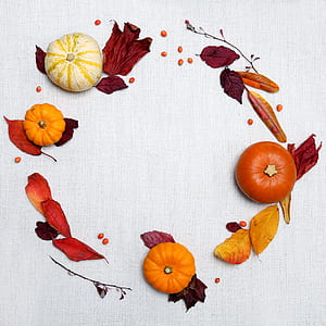 photo of pumpkin thumbnail