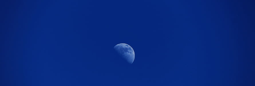 portrait photography of moon during daytime thumbnail