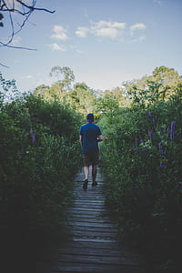 man in blue T-shirt walking beside green leafed plants during daytime thumbnail