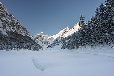 mountain cover with snow and trees thumbnail
