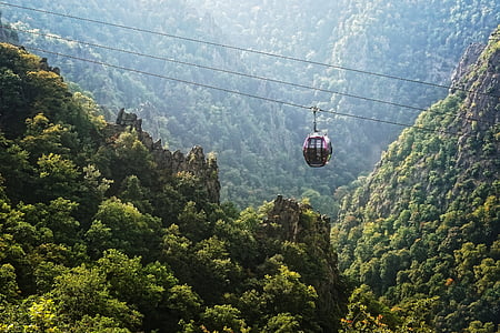 red and black cable car above forest on mountain thumbnail