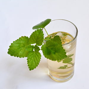 clear drinking glass with water and green plant thumbnail