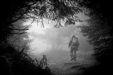 man surrounded with fog thumbnail