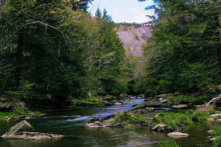 in distant brown mountain thumbnail
