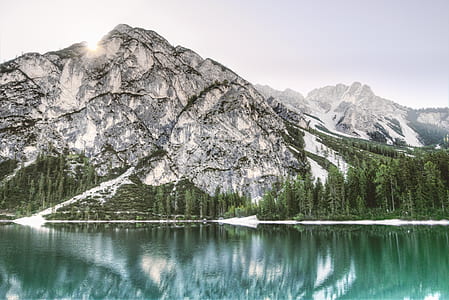 mountains, nature, forest, trees thumbnail