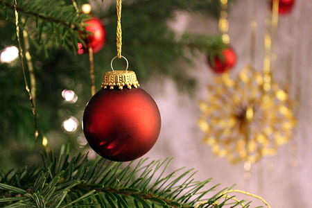 close-up photo of red Christmas bauble hanged on green Christmas tree thumbnail
