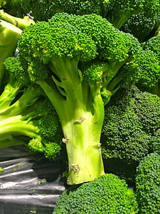 broccoli lot thumbnail