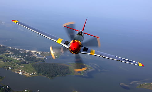Silver Yellow Red and Black Jet Flying during Daytime thumbnail