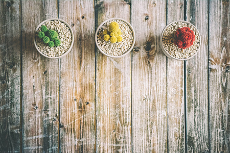 Potted plants on a wooden table thumbnail