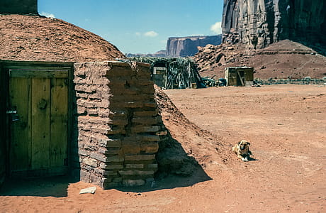Dog seen outside a hogan at Canyon de Chelly National Monument thumbnail