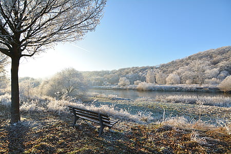 snow, wood, bench, landscape thumbnail