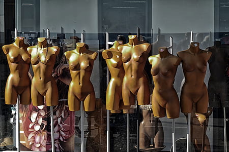 photo of brown dress form lot near wall thumbnail