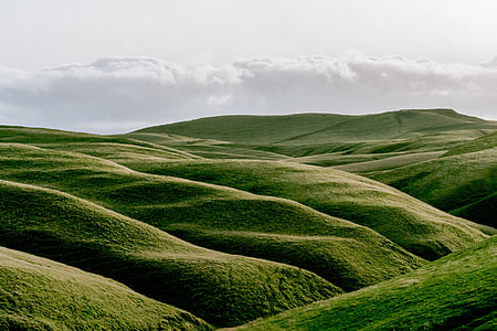 green grass field thumbnail