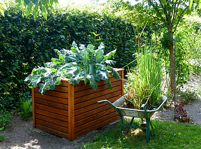 green leaf plant on wooden plant box near wheelbarrow thumbnail