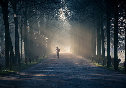 Person Running Near Street Between Tall Trees thumbnail