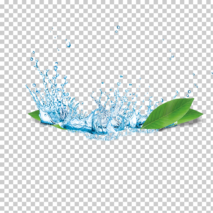 Water, water, water ripple on leaf PNG clipart
