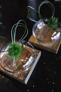 Little grass bundle with a ribbon in a glass jar thumbnail