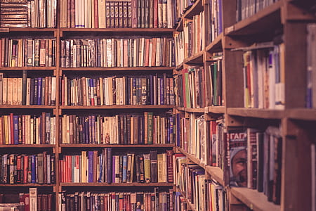 pile of assorted-title books on bookshelf thumbnail