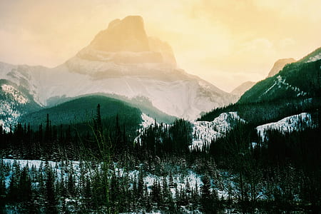 landscape photograph of ice forest thumbnail