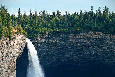 waterfalls near green pine trees during daytime thumbnail