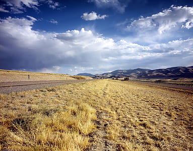 grass field during daytime thumbnail