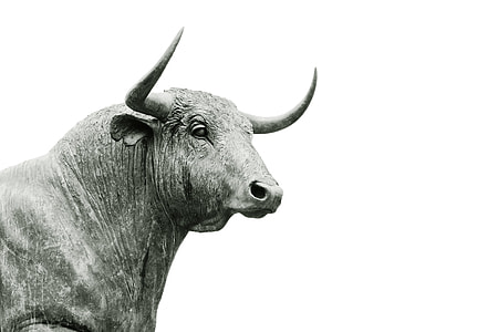 statue of bull thumbnail