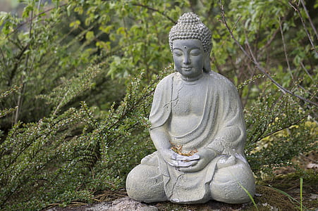 Buddha statuette thumbnail