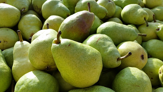 green pear lot thumbnail