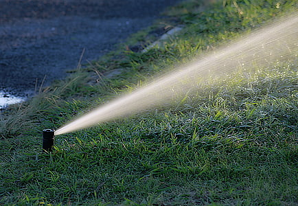 water hose on green grass thumbnail