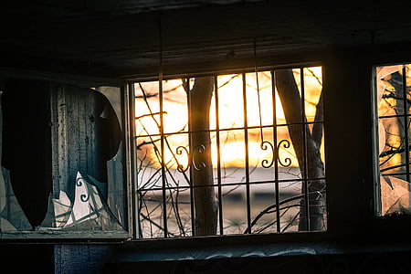 bare trees beside window grill thumbnail
