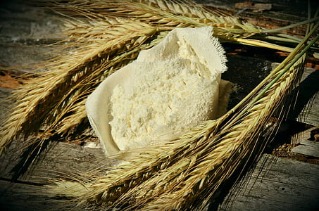 closeup photo of wheat thumbnail