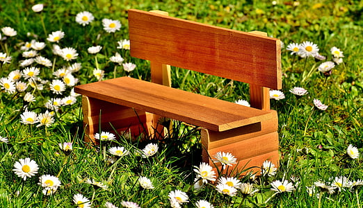 brown wooden bench on white daisy flower field at daytime thumbnail