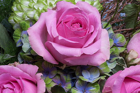 selective focus photography of pink roses thumbnail