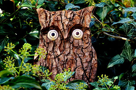 brown wooden owl garden decor thumbnail