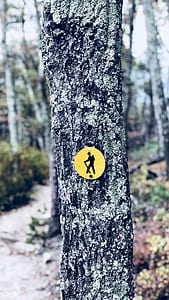 yellow signage on tree trunk thumbnail
