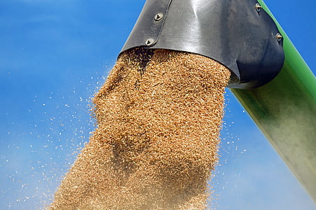 close up photography of harvester dropping seeds on tube thumbnail