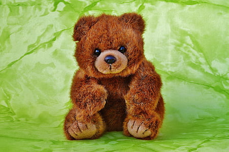 brown bear plush toy thumbnail