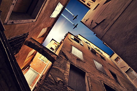 low angle photography of concrete building thumbnail