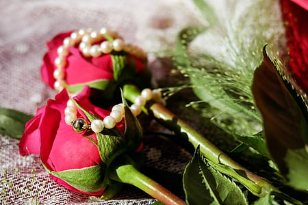two red roses thumbnail