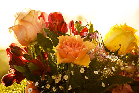 bouquet of yellow and red roses thumbnail