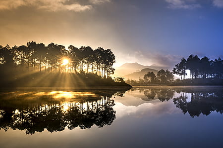 body of water near trees thumbnail