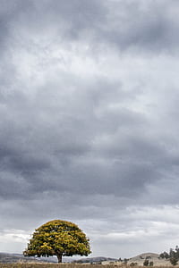 landscape, nature, sky, clouds thumbnail
