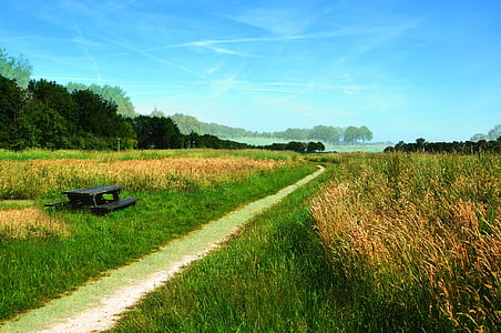 green trail between grass field thumbnail
