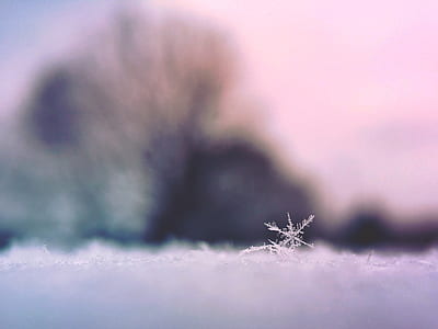 closeup photo of snowflakes thumbnail