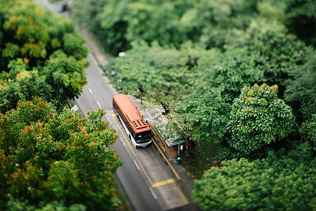 orange and white bus passing through asphalt road surrounded by trees thumbnail