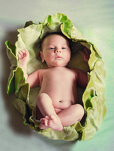 baby on green nest thumbnail